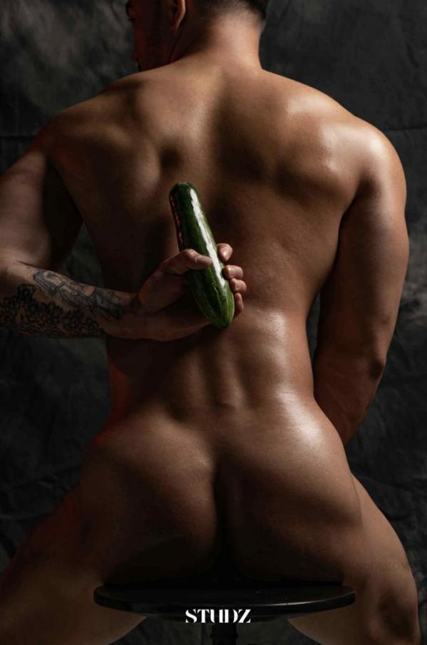 STUDZ-01--Zesty--Ebook--Video-